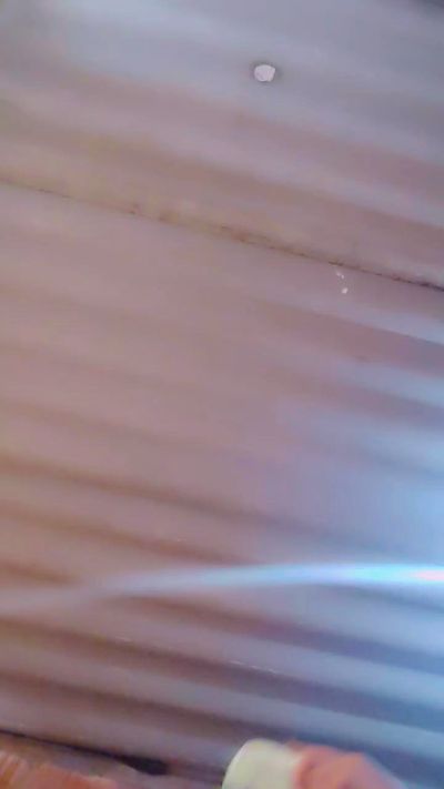 Solmarina4 Live Image