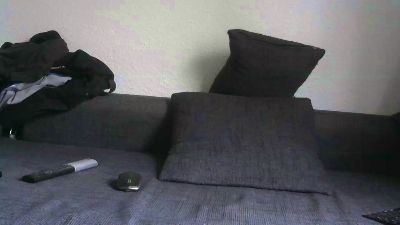 Stgt_Bi_Sau Live Image