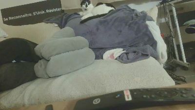 Teamtouch Live Image