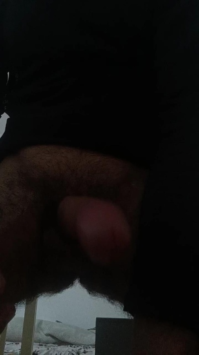 The_white_lion Live Image