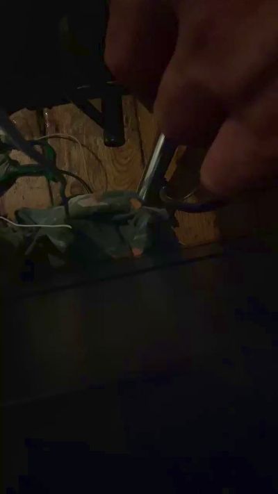 alexandrabxl1 Live Image