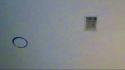 allnighter4ever Live Image