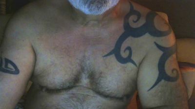 artilleur5 Live Image