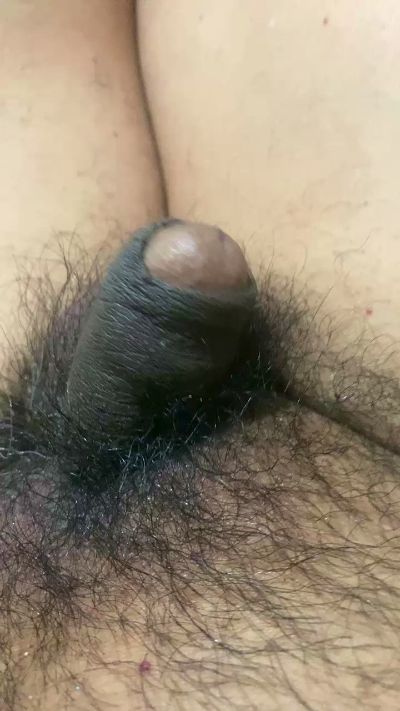 avefenix460 Live Image