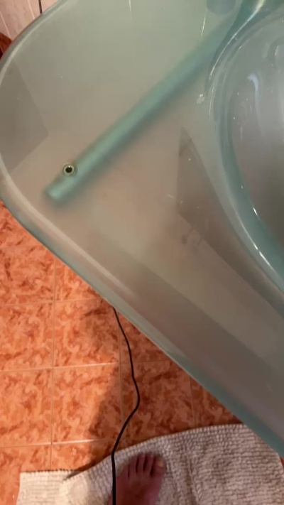 bergamo13 Live Image