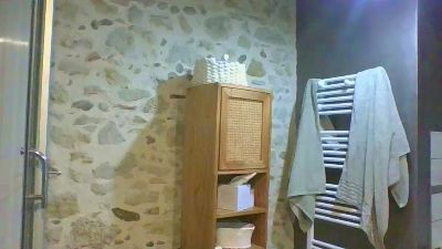 biboxer81 Live Image