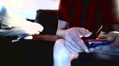 bryanjkkk Live Image