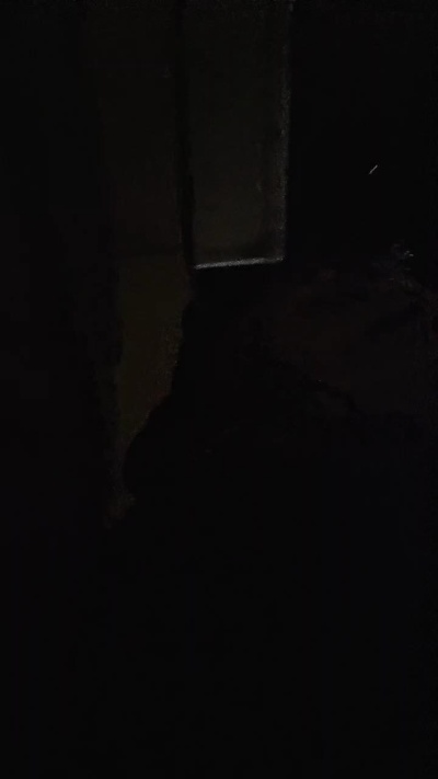 cachorro98_hot Live Image