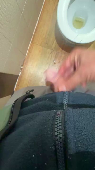 calvitopollon Live Image