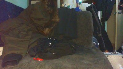 caringi81 Live Image