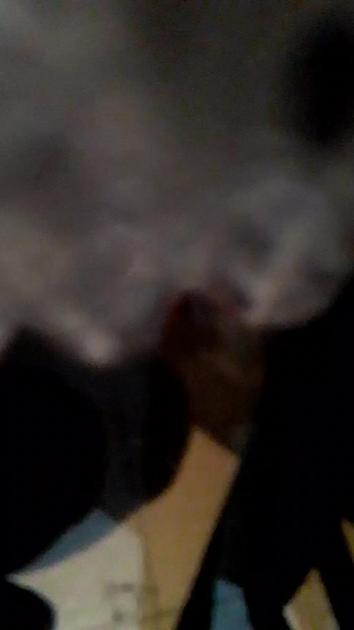 carlosyleonor23 Live Image