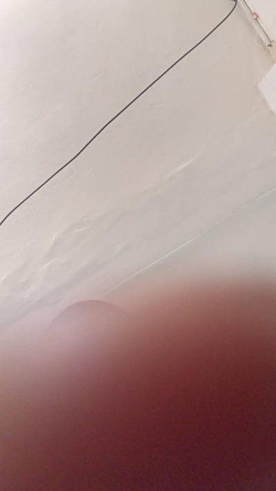 elverga61 Live Image