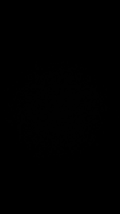 falco696969 Live Image