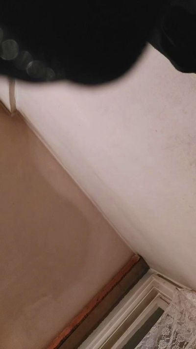 floridasara Live Image