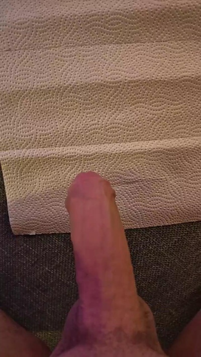 funnyrisk Live Image