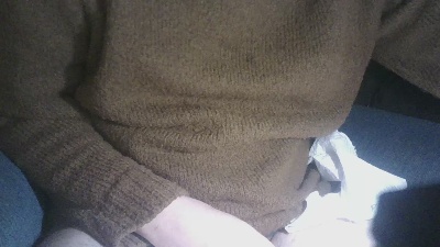 lapizero9 Live Image