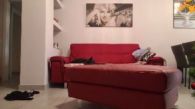 linus99976 Live Image