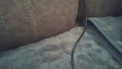 lovesiara1 Live Image