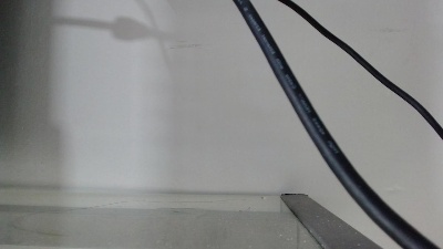 mathews__2 Live Image