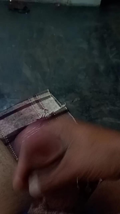 mauro2026 Live Image