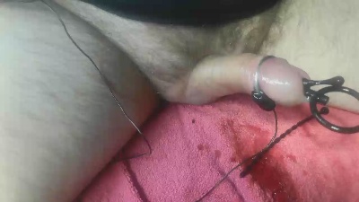 niarlathothep Live Image