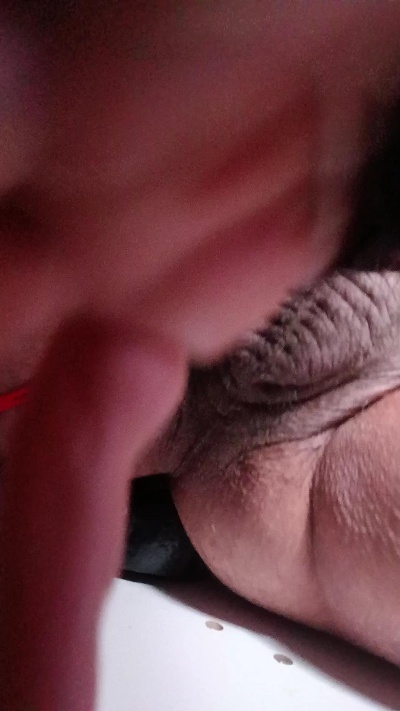 papabearsinner Live Image