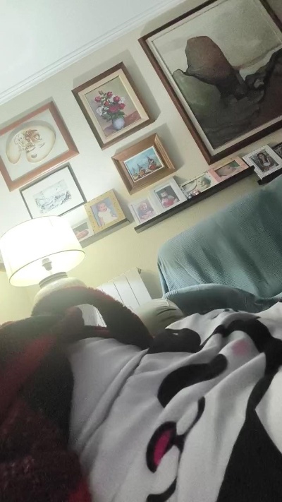 papascandy Live Image