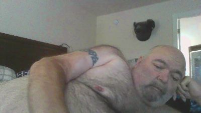 popperbear_fun Live Image