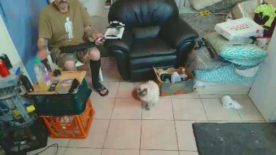 qwerty77771 Live Image