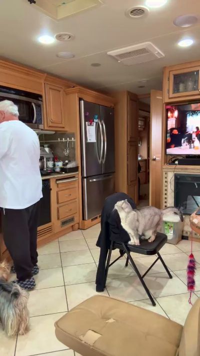 ranger226 Live Image