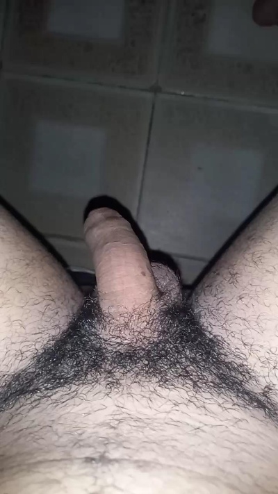 s3bastiandot4d0 Live Image