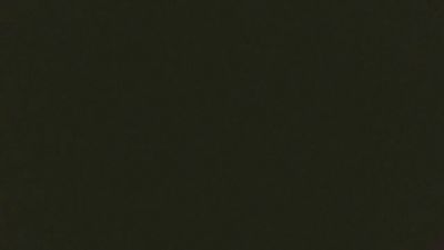 savage500 Live Image