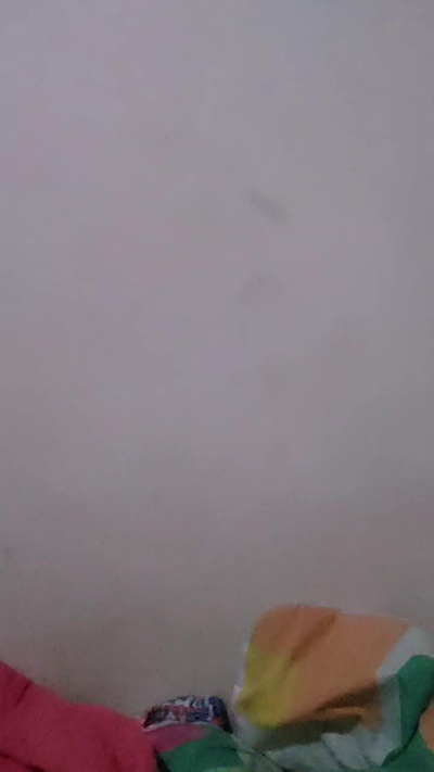 spartano202 Live Image