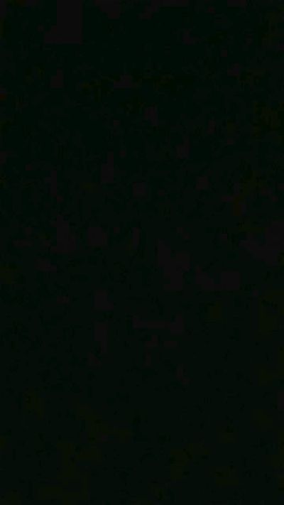 teddy2008 Live Image