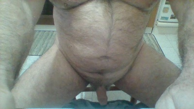 traghetto Live Image