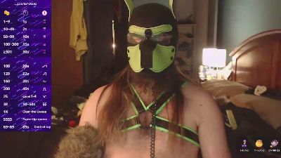 werewolf1987 Live Image