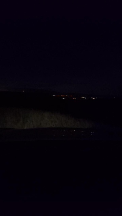 Agataperra35 live from Spain