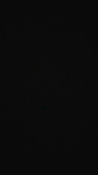 Angelwinds live from Portugal