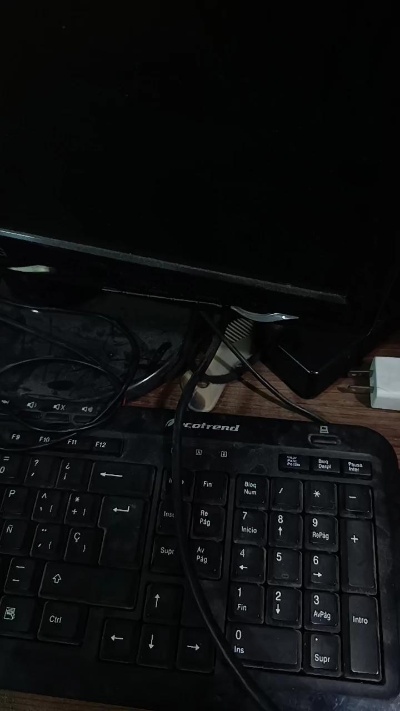 Anoe007a1 live from Peru