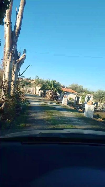 Antonio8666 live from Spain