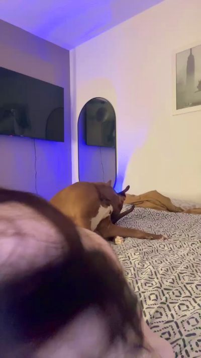 Bbsitaaaaa live from France