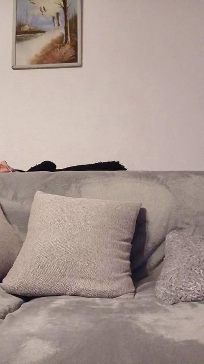 Becquet live from France