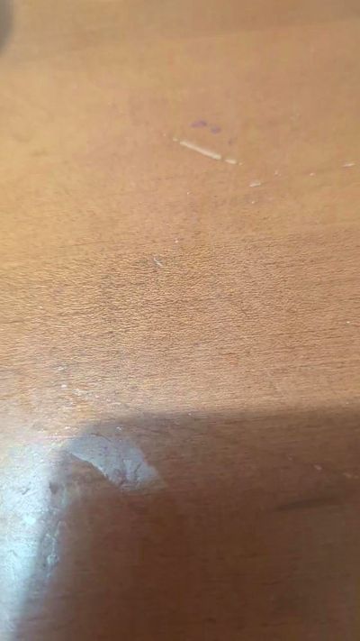 Beedszailed live from Canada