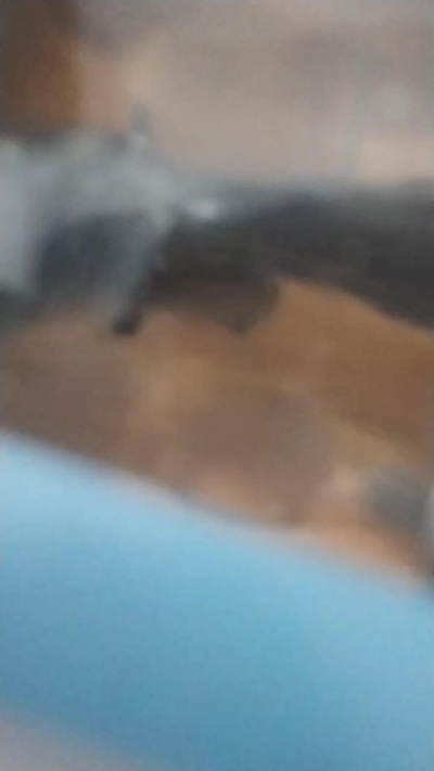 Blads live from Chile