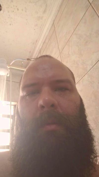 Brazilianbear_ live from Brazil