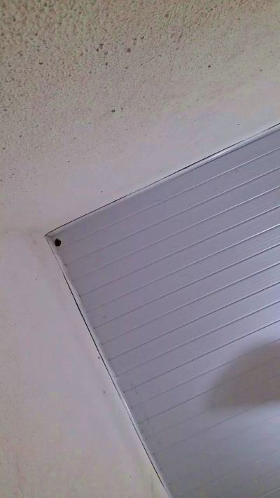 Carnuda live from Brazil