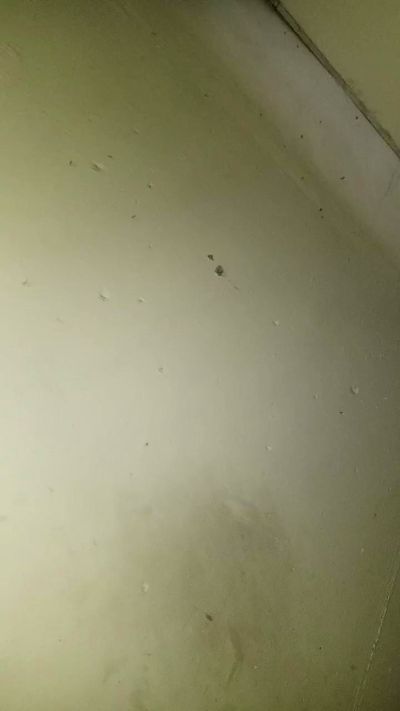 Cjvo live from Venezuela