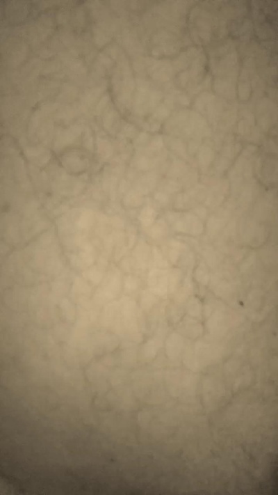 CrazyinLovex live from Netherlands