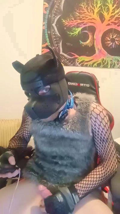 DARK_HORSE_IND live from United States