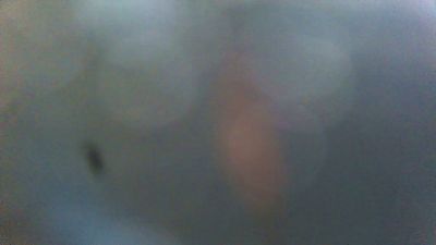 Danielxxx79 live from Poland